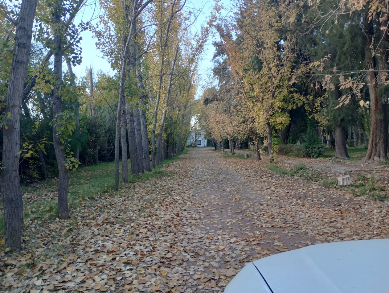 LOTE CLUB DE CAMPO MAIPU 