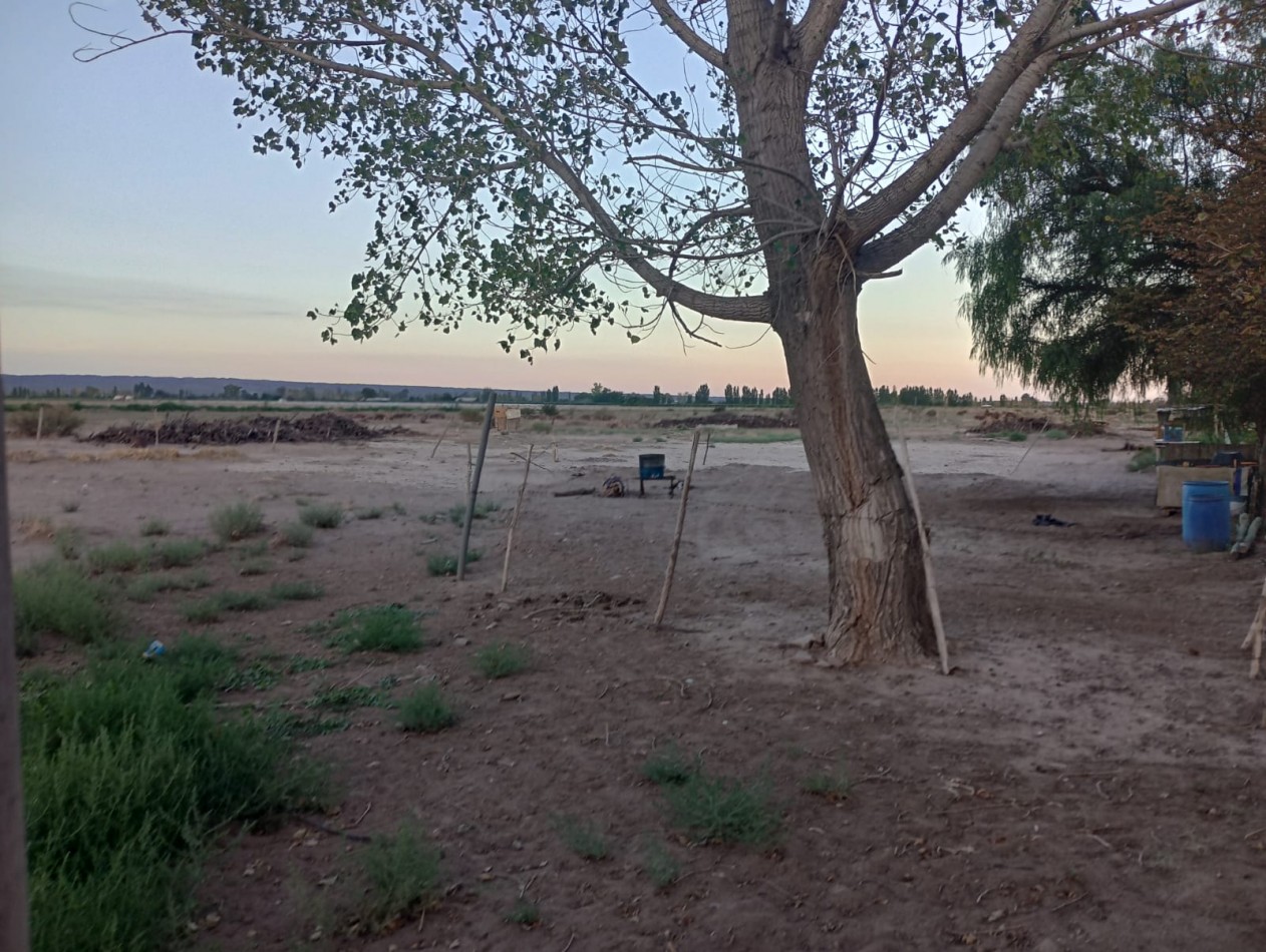 Tierra Nivelada Ugarteche 