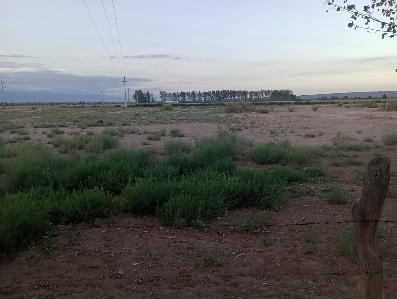 Tierra Nivelada Ugarteche 