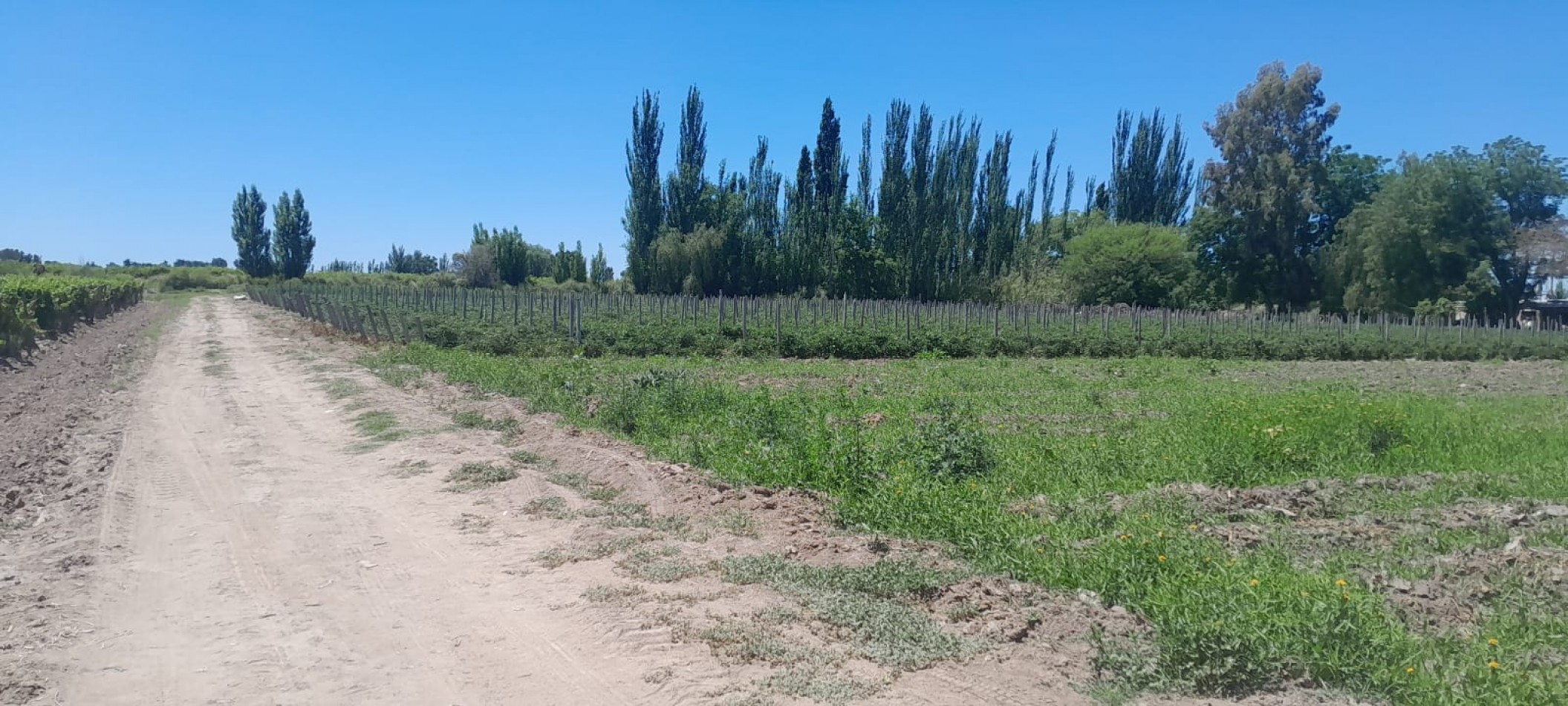 FINCA