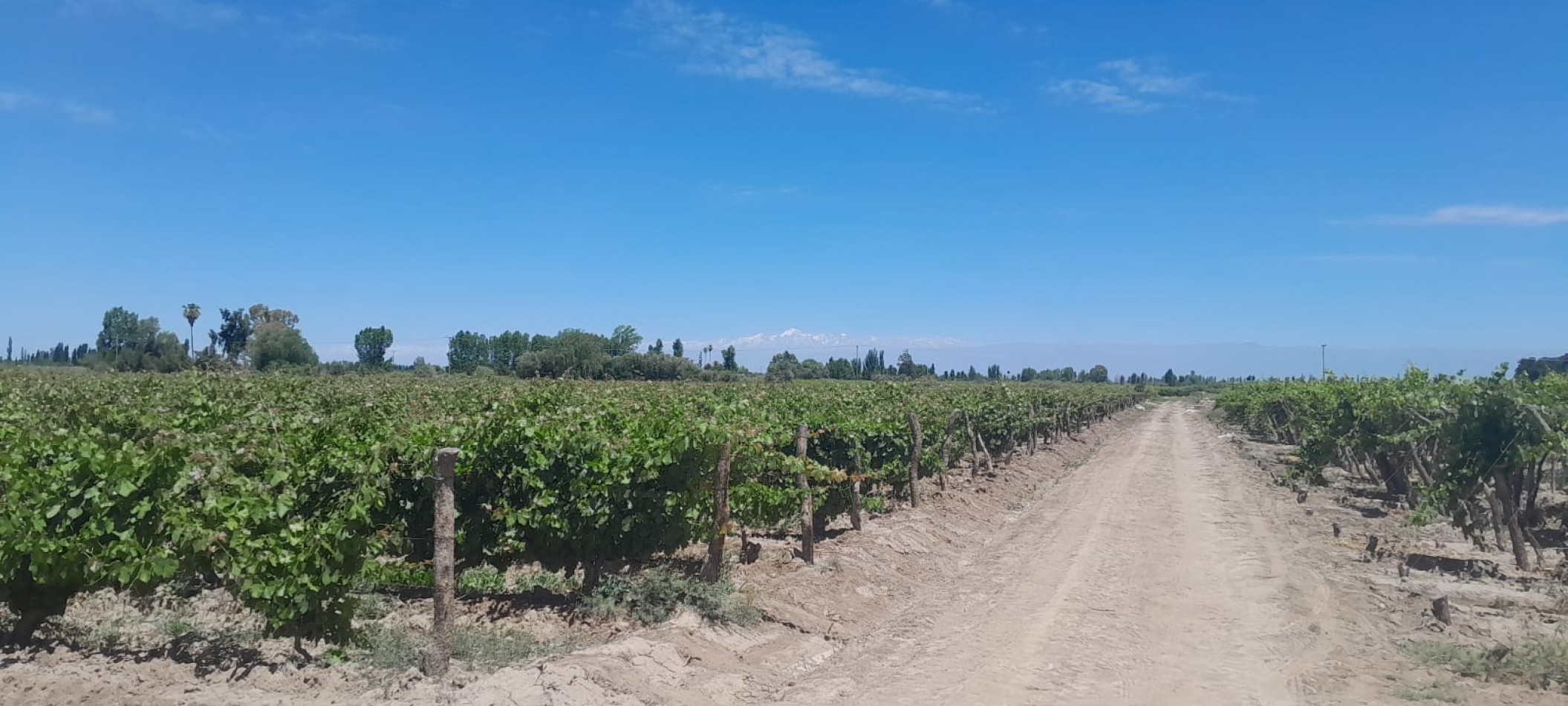 FINCA