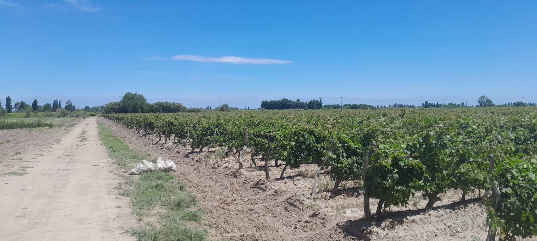 FINCA