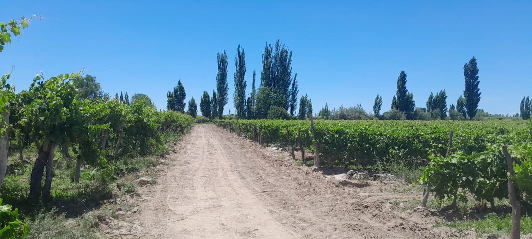 FINCA