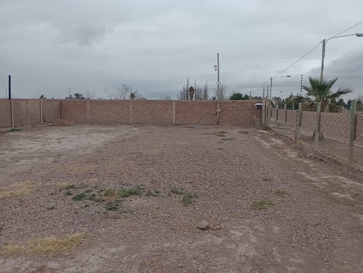 LOTE 