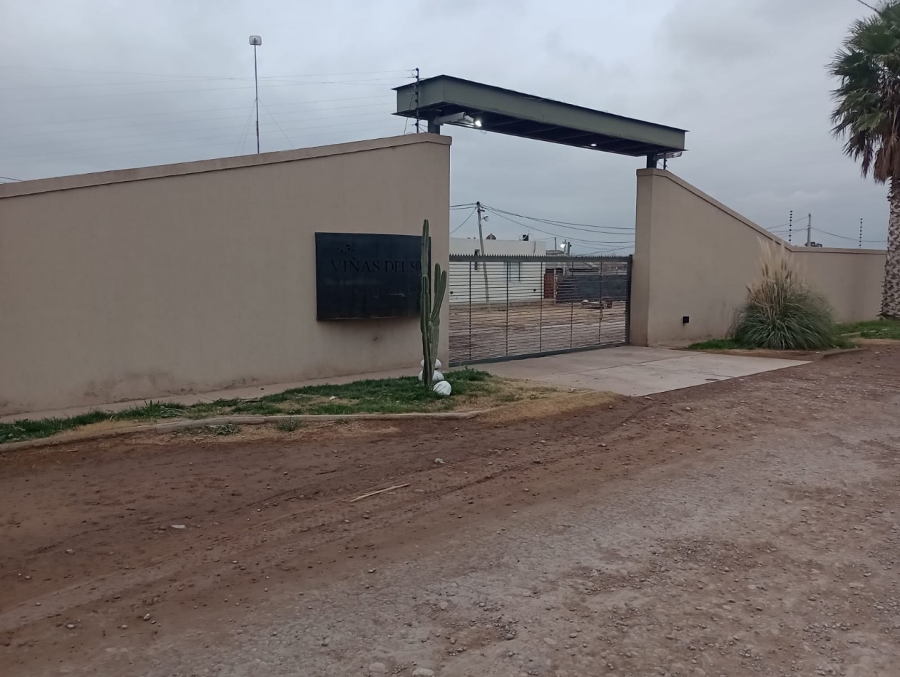 LOTE 