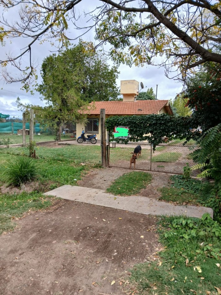 CASA 