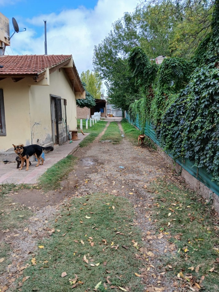 CASA 