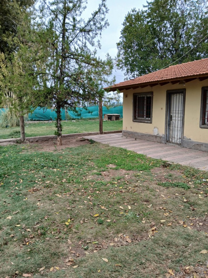 CASA 