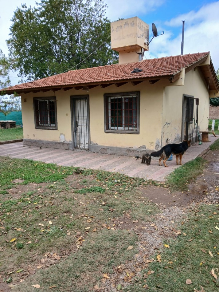 CASA 
