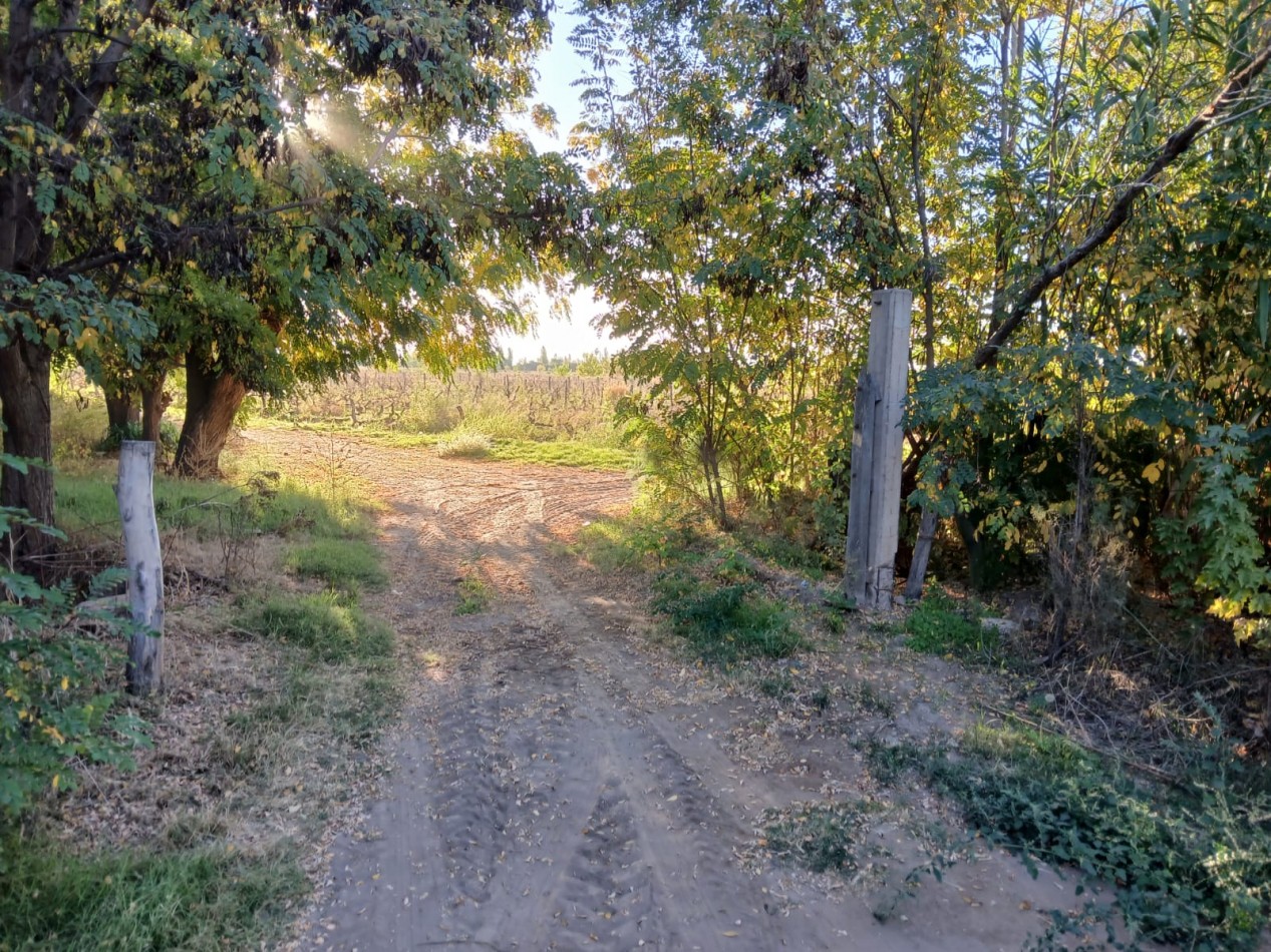 FINCA