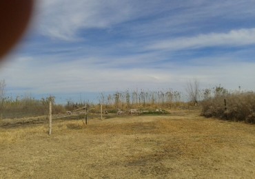 Lote calle Lillo 