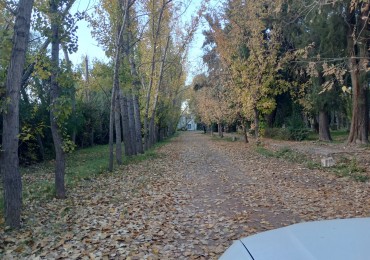 LOTE CLUB DE CAMPO MAIPU 