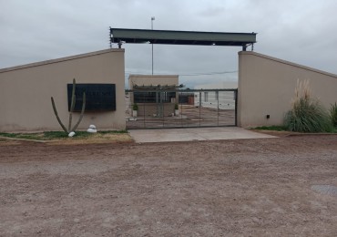 LOTE VIÑAS DEL SOL 